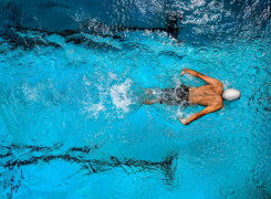 What Triathletes Can Learn from Olympic Champions