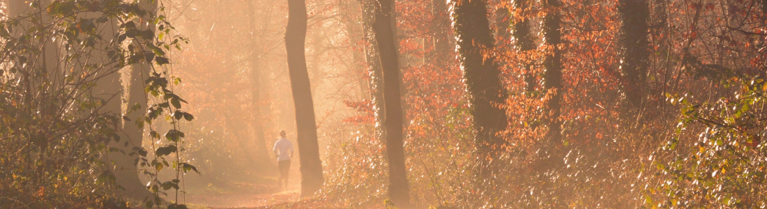 4 Fall Training Goals for Triathletes 4 Fall Training Goals for Triathletes