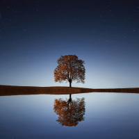 Look Back, Reflect and Learn￼
