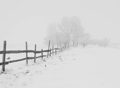 4 Winter Enemies Every Athlete Faces and How to Beat Them